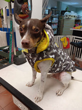 Cargar imagen en el visor de la galería, Chaqueta Camuflabones Gris/Amarillo