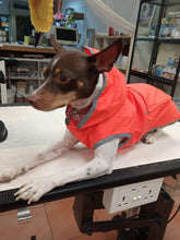 Cargar imagen en el visor de la galería, Impermeable reversible naranja rayo