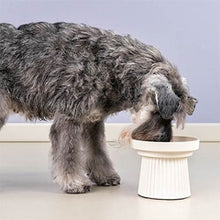 Cargar imagen en el visor de la galería, Comedero Elevado Doric