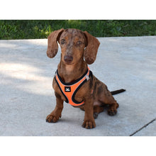 Cargar imagen en el visor de la galería, ARNES X-TRM NEO