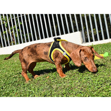 Cargar imagen en el visor de la galería, ARNES X-TRM NEO