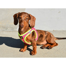 Cargar imagen en el visor de la galería, ARNES X-TRM NEO