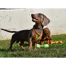 Cargar imagen en el visor de la galería, ARNES X-TRM NEO