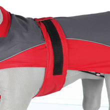 Cargar imagen en el visor de la galería, Impermeable L&#39;orient Rojo/Gris - 50% DTO
