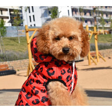 Cargar imagen en el visor de la galería, Chaqueta con capucha Red Leopard
