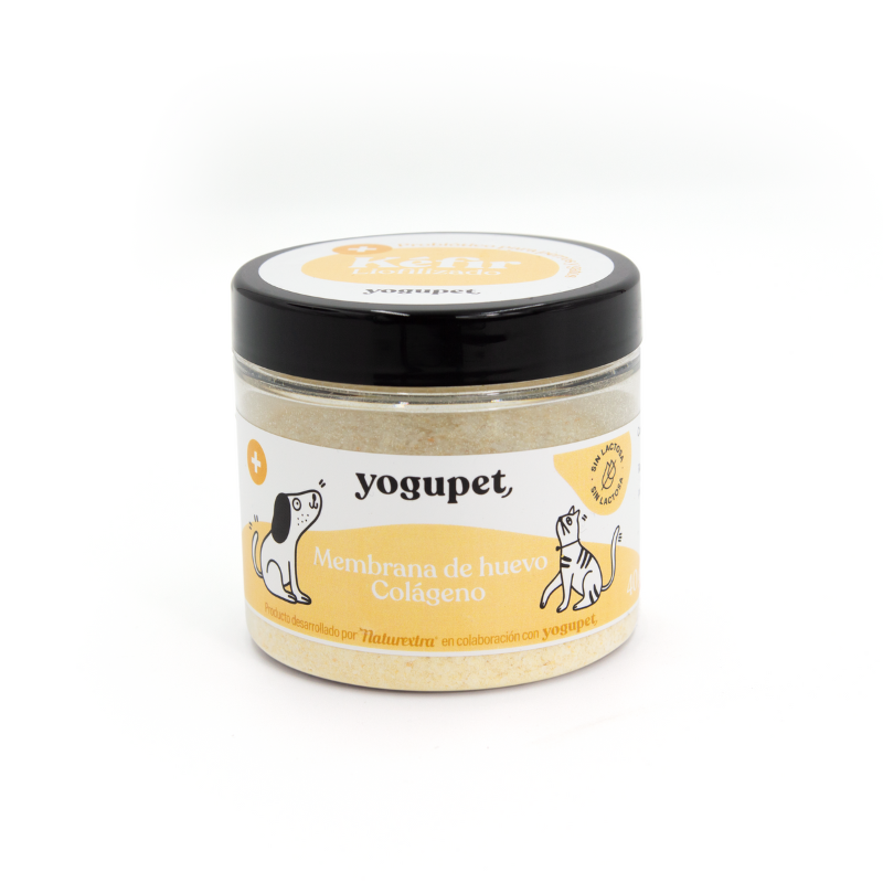 Kéfir Liofilizado Membrana de Huevo y Colágeno (40 g)