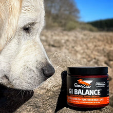 Cargar imagen en el visor de la galería, Super Snouts GI Balance 88 gr. Regulador Gastrointestinal 100% Natural. Prebiótico. Ayuda a microbiota.
