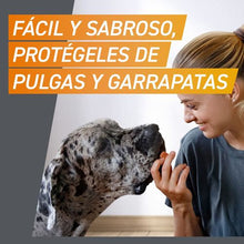 Cargar imagen en el visor de la galería, Frontpro Masticable (3 comprimidos)

