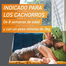 Cargar imagen en el visor de la galería, Frontpro Masticable (3 comprimidos)
