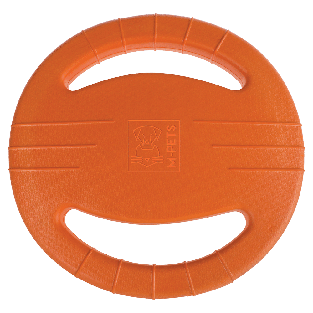 Splash Frisbee