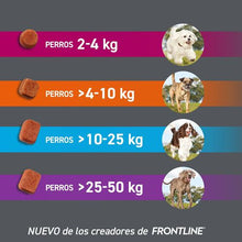 Cargar imagen en el visor de la galería, Frontpro Masticable (3 comprimidos)
